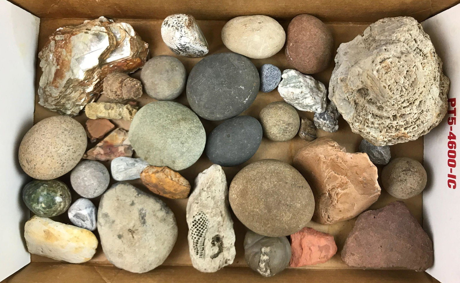 Rock Collection: Assorted shapes and types