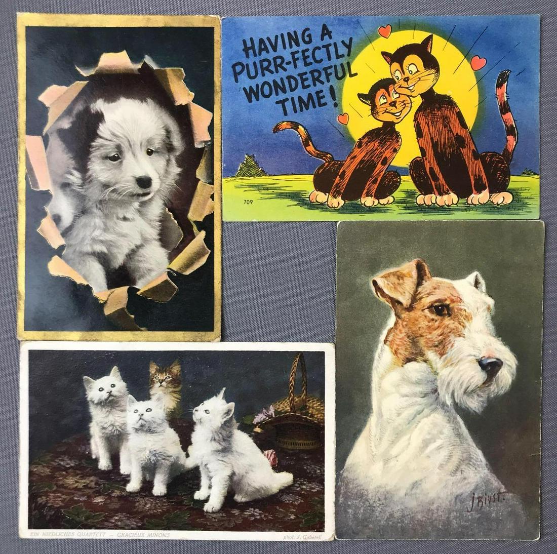 Postcards-Animals (1 of 5)