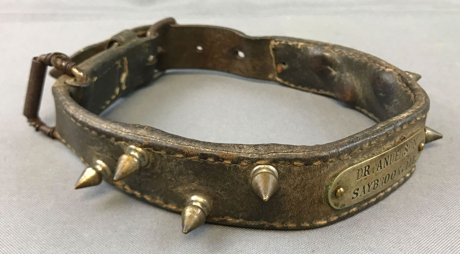 Vintage (c. 1940s) Spiked Dog Collar (1 of 5)