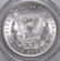1884 CC Morgan Silver Dollar (PCGS) MS64. - 4