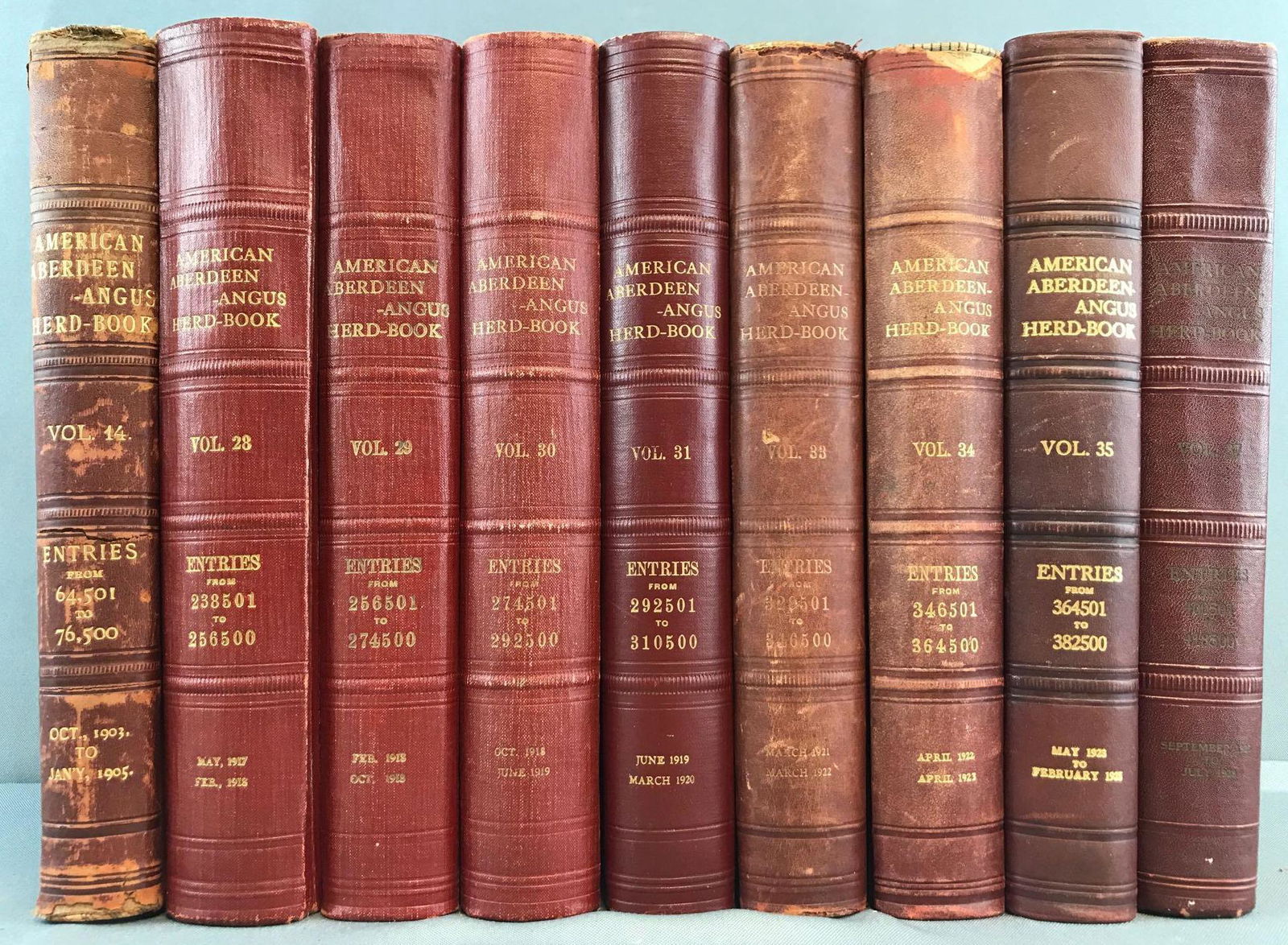 Group of 9 volumes American Aberdeen-Angus Herd Book (1 of 14)