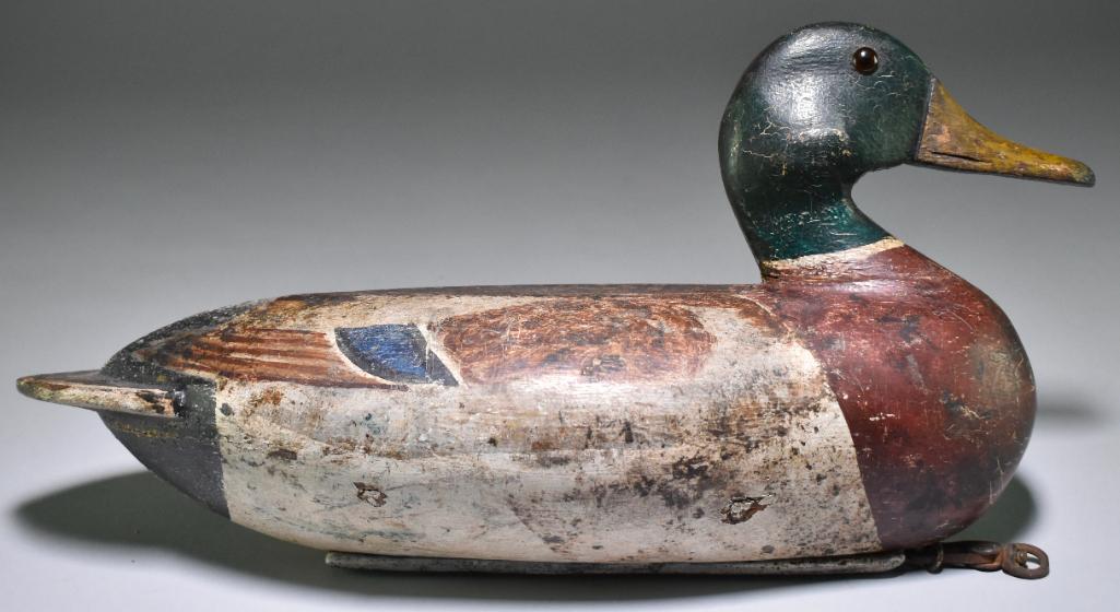 Mallard Drake Duck Decoy: Lacon/Putnam Illinois area, Circa 1920's. Very early 2 piece with original weight. 14 1/2 x 5 1/2 x 7 1/2 inches.