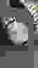 item-102867726=3