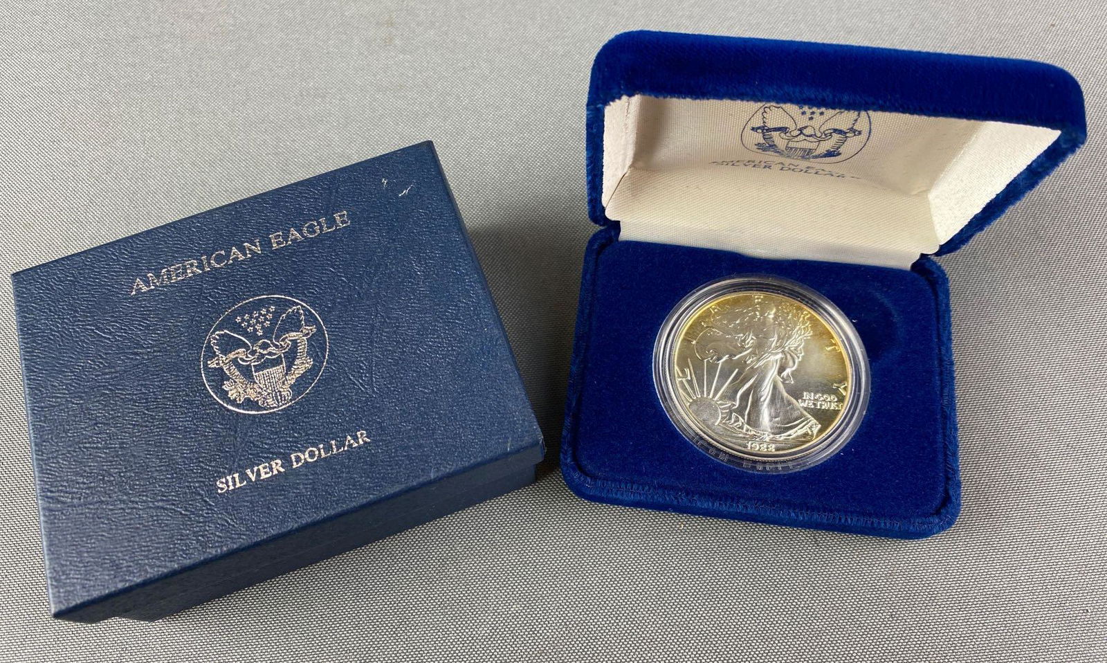 American Eagle Silver Dollar (1 of 5)