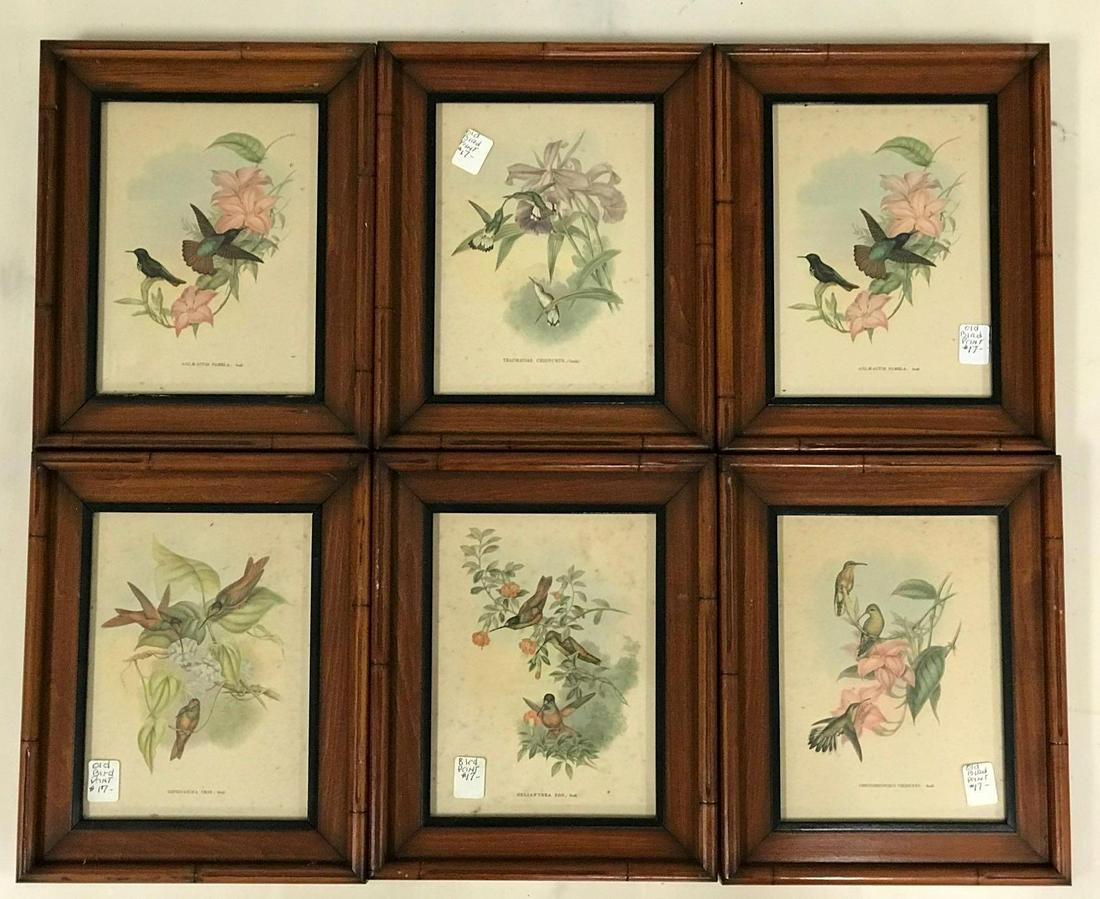 Group of Framed Bird Prints (1 of 7)