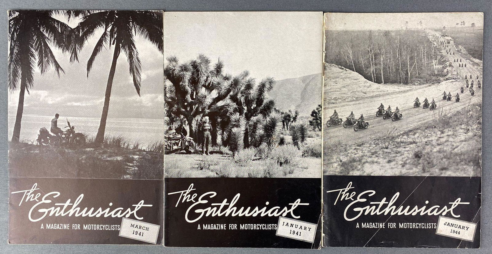 Group of 3 Harley Davidson Motorcycle The Enthusiast (1 of 4)