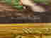 item-121847517=2