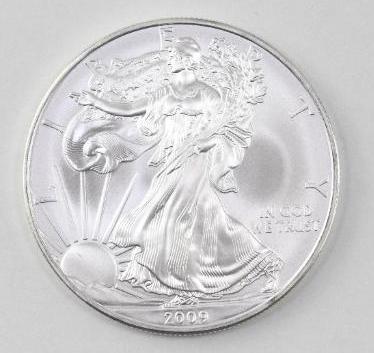 2009 American Silver Eagle 1oz (1 of 2)