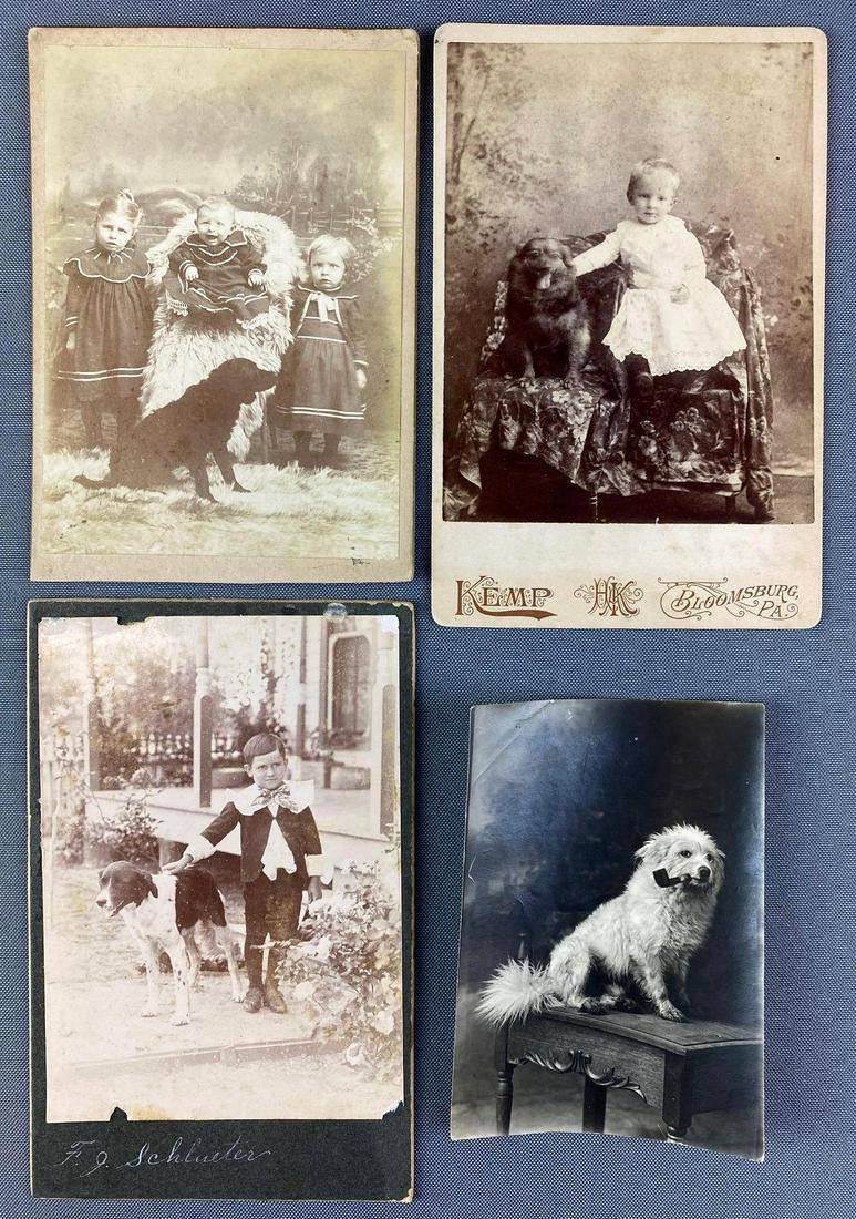 Group of 3 Cabinet Cards & Photo (1 of 5)