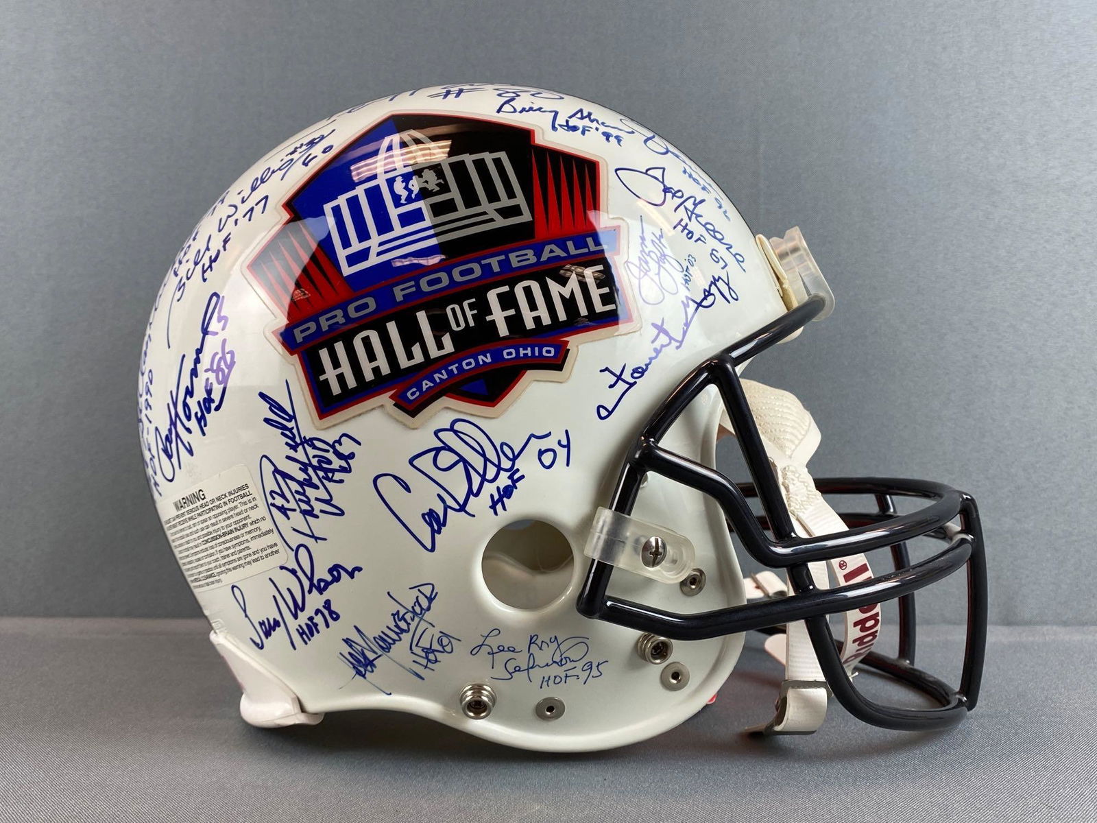 Pro Football Hall of Fame Multi Signed Helmet (1 of 11)