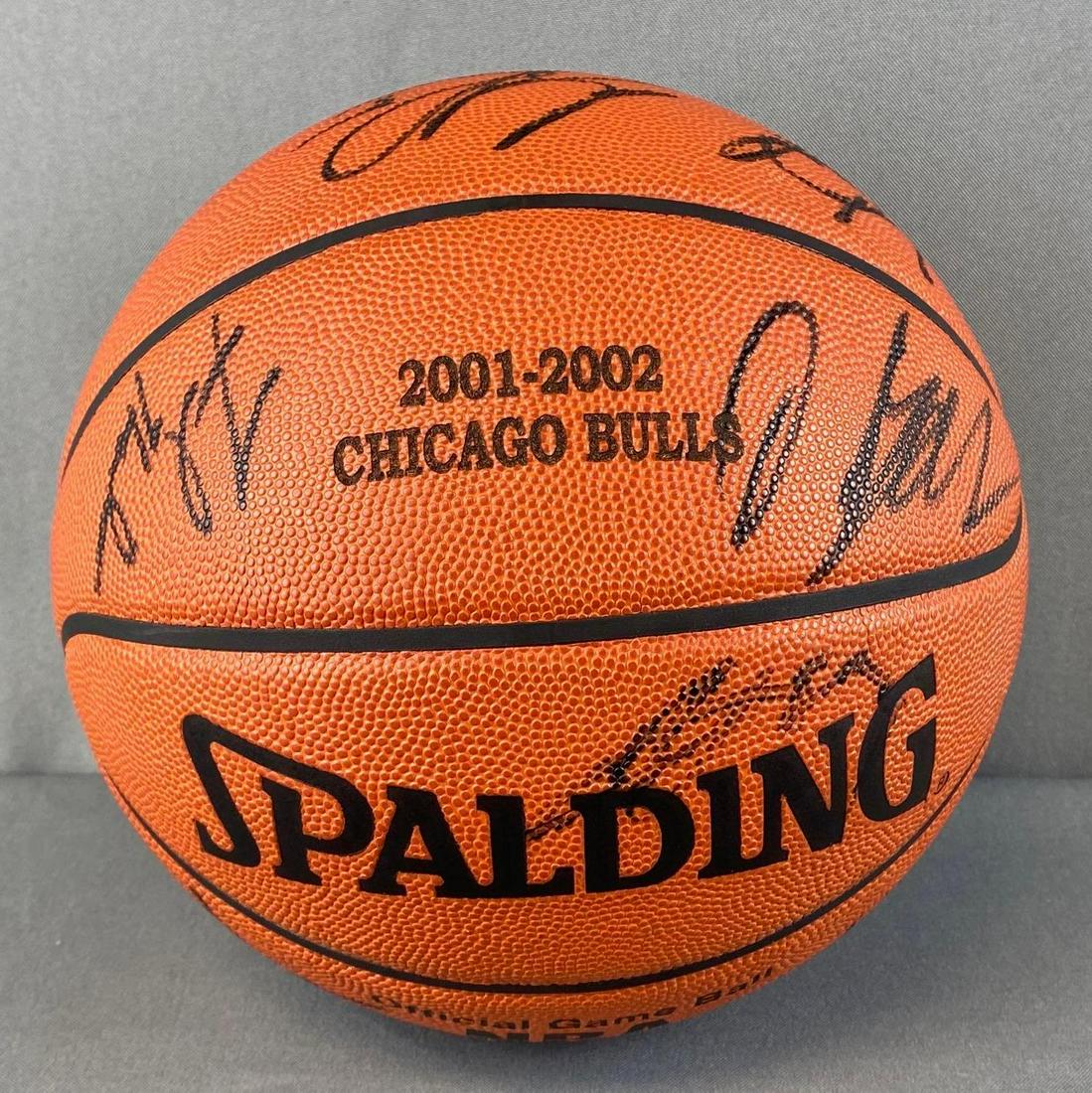 2001-02 Chicago Bulls steam Autographed Basketball: Obtained from a Chicago Bulls Charity Auction in 2002, includes signatures from Tyson Chandler, Travis Best, Eddie Curry, and more.