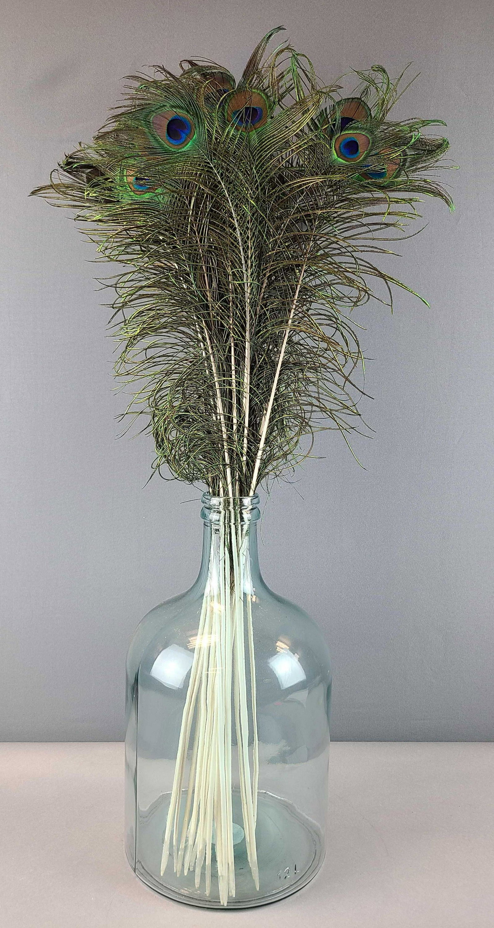 Large Glass Bottle with Peacock Feathers (1 of 4)