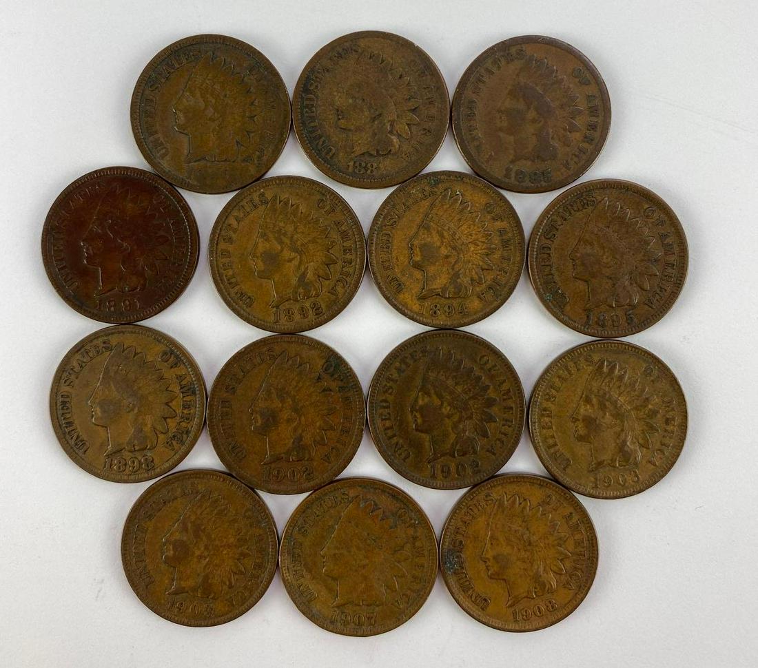 Group of 14 Indian Head Pennies (1 of 2)