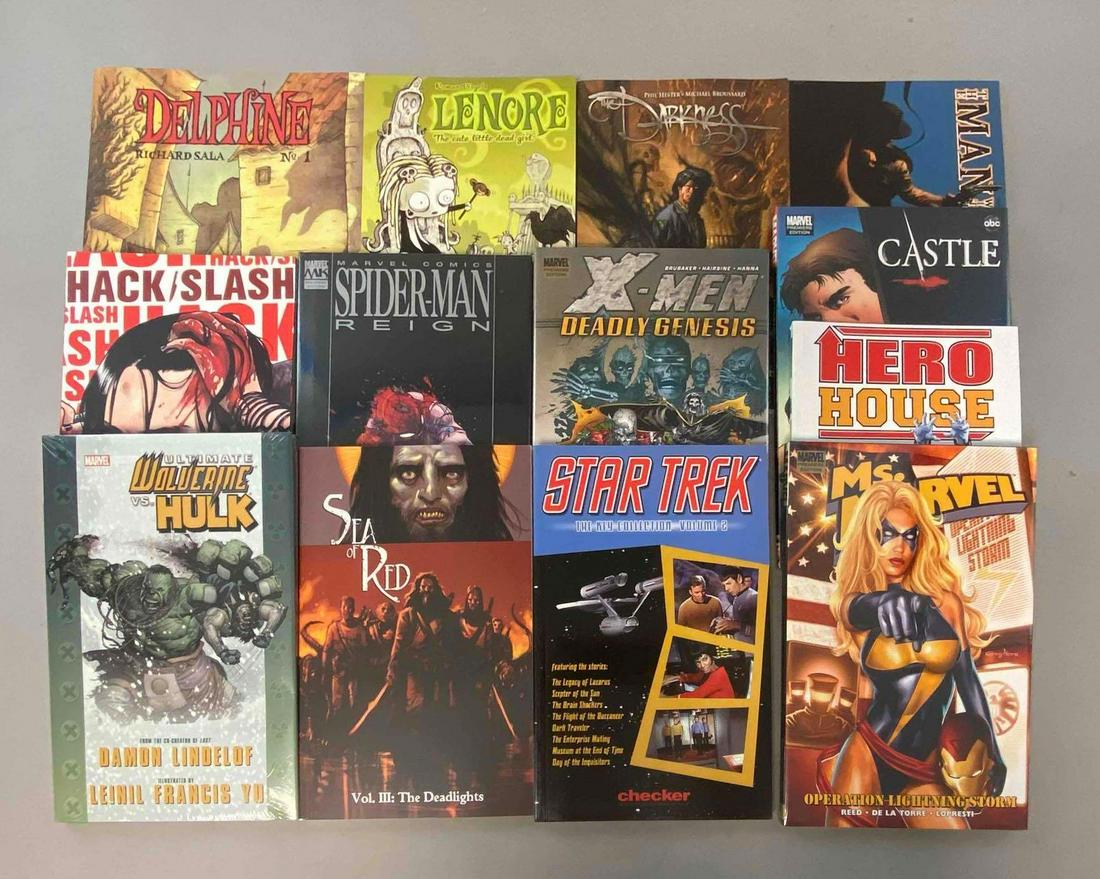 Group of 13 Graphic Novels (1 of 3)