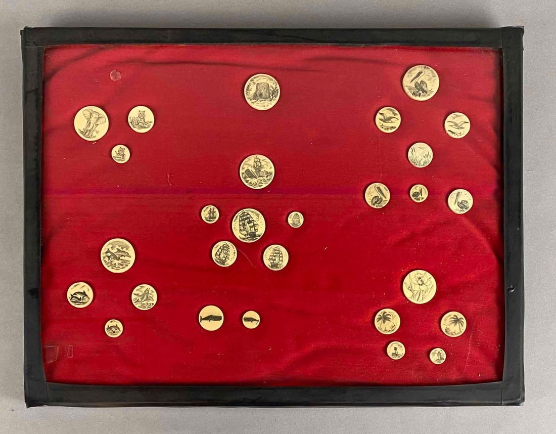 Group of 20+ Scrimshaw Discs: Carvings include sea animals, Flowers, birds, and more, Most glued to red fabric backing, Case includes, Case measures 12 1/4 x 16 1/4 inches, Largest disc measure 1 1/4 inch across.