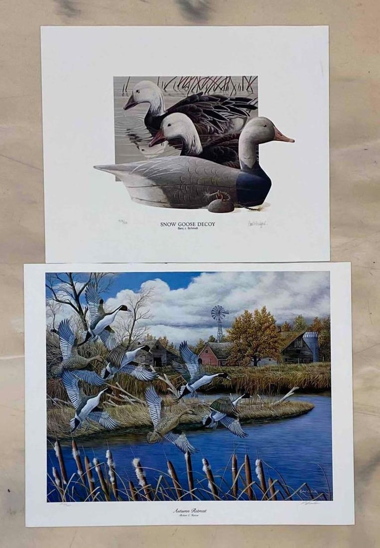 Group of 2 Limited Edition Duck Prints (1 of 4)