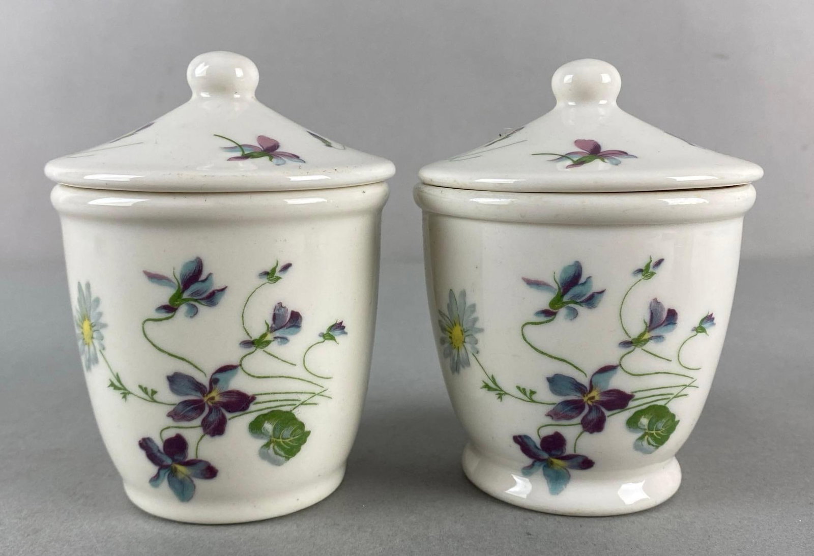 Group of 2 CB&Q Railroad Syracuse Porcelain Violets and Daisies Jars: Largest measures 4 1/4 x 3 1/4 x 3 1/4 inches.