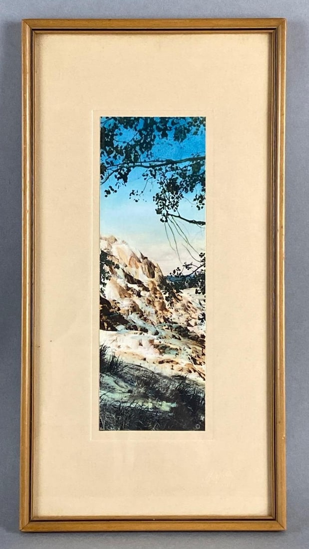 Haynes Hand Colored Yellowstone National Park Photograph: Haynes Picture Shop, Frame measures 14 1/2 x 7 1/2 inches, Photograph measures 9 1/4 x 3 1/4 inches.