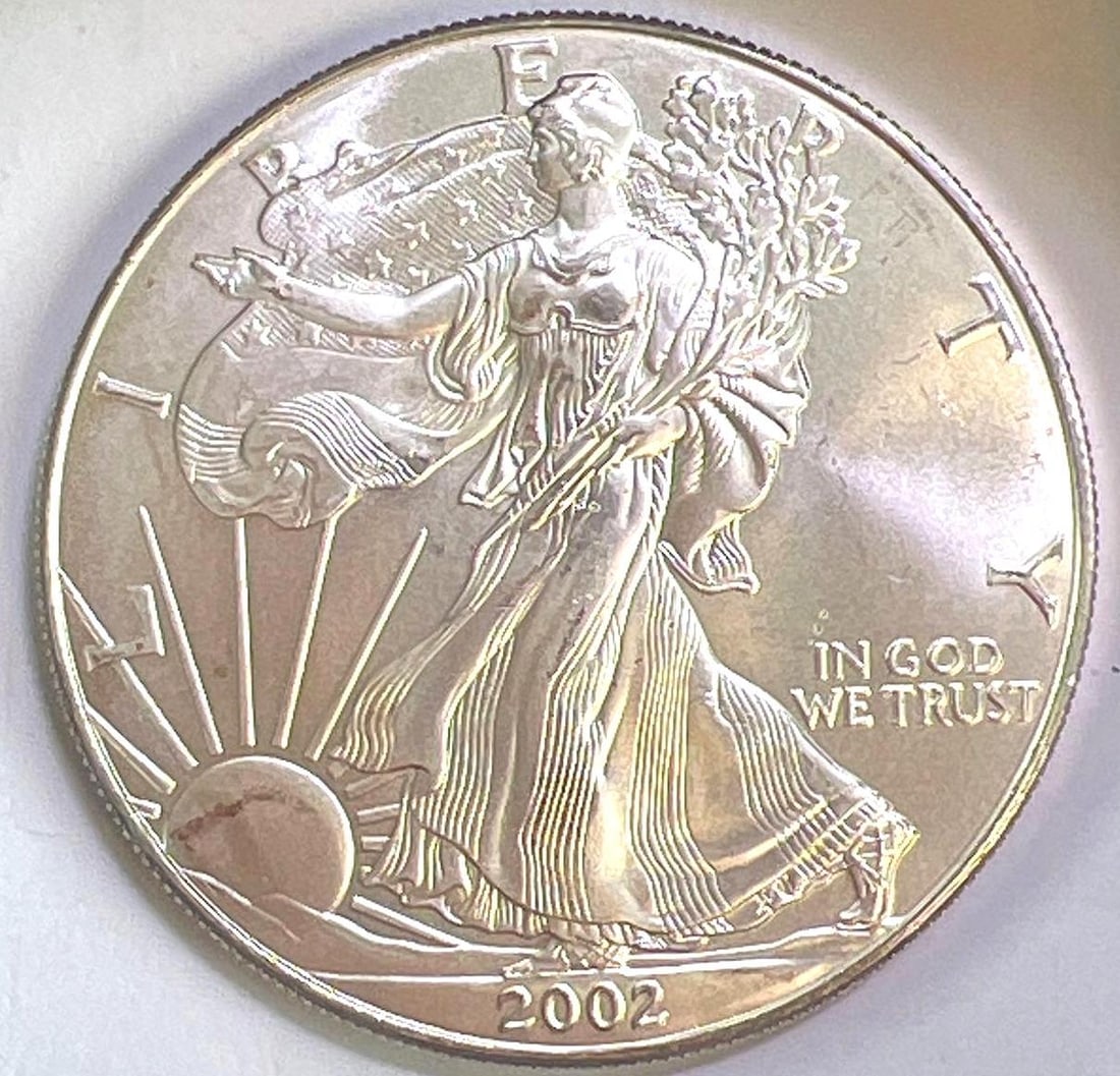 2002 US Mint American Silver Eagle .999 Fine (1 of 2)