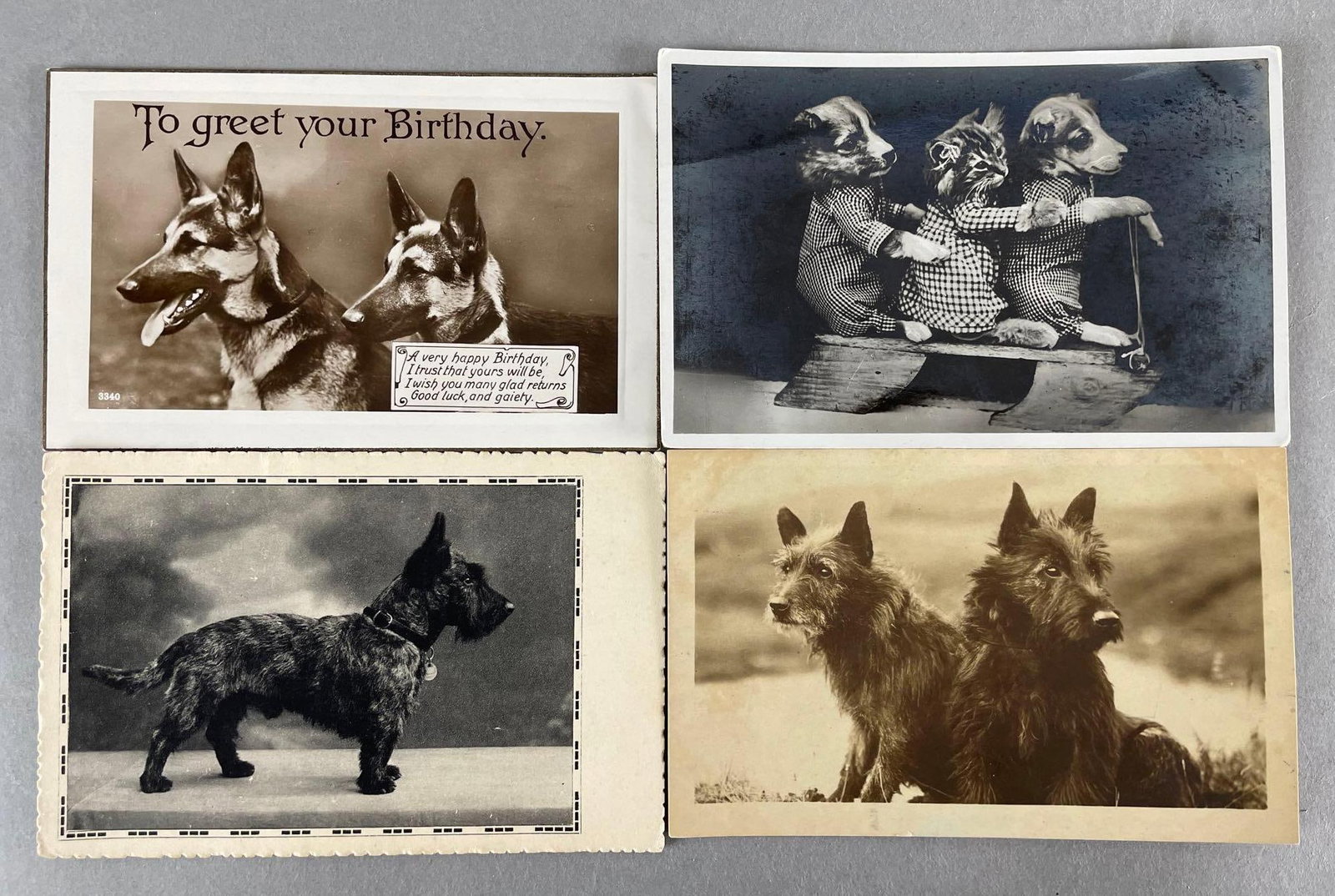 Postcards - 25 Dog (1 of 3)