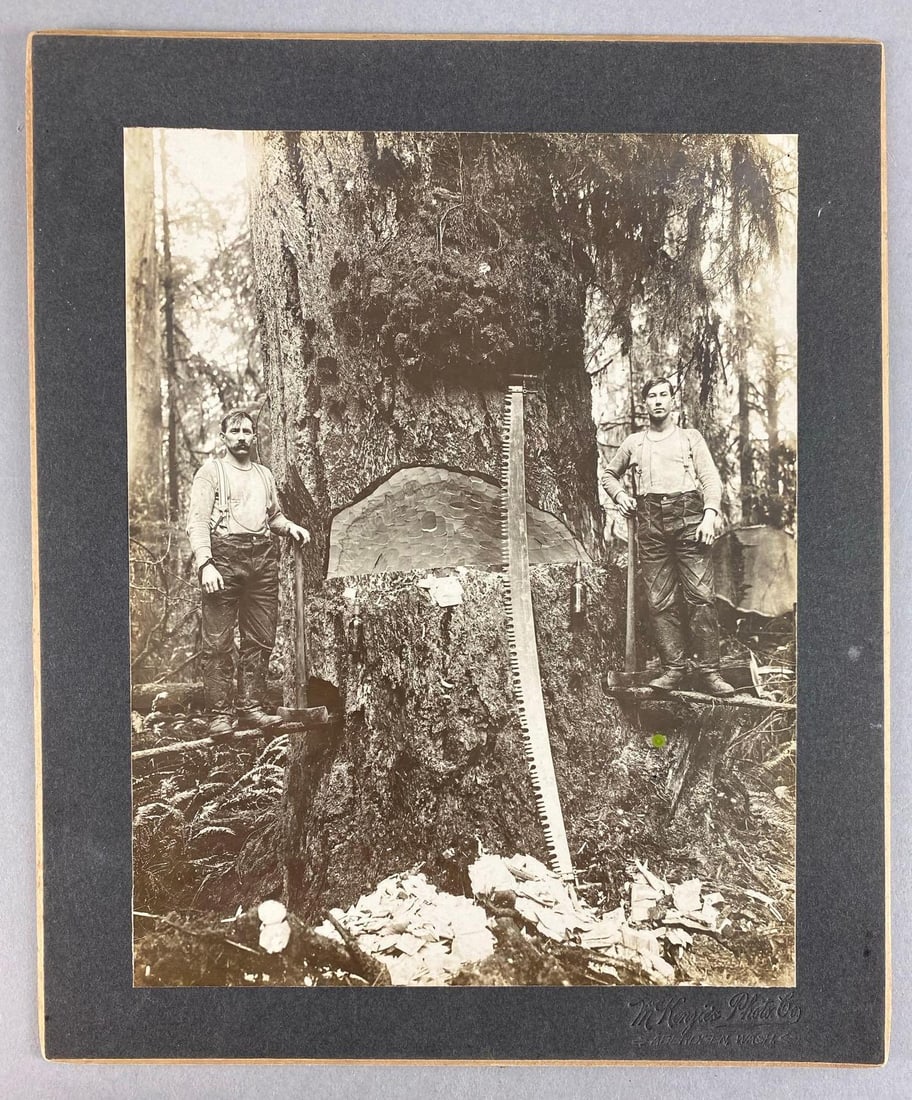 Antique Loggers Posing With Tree Photograph (1 of 2)