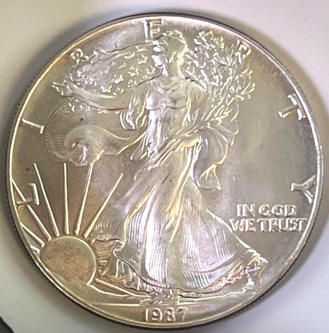 1987 US Mint Silver American Eagle .999 Fine Silver (1 of 2)