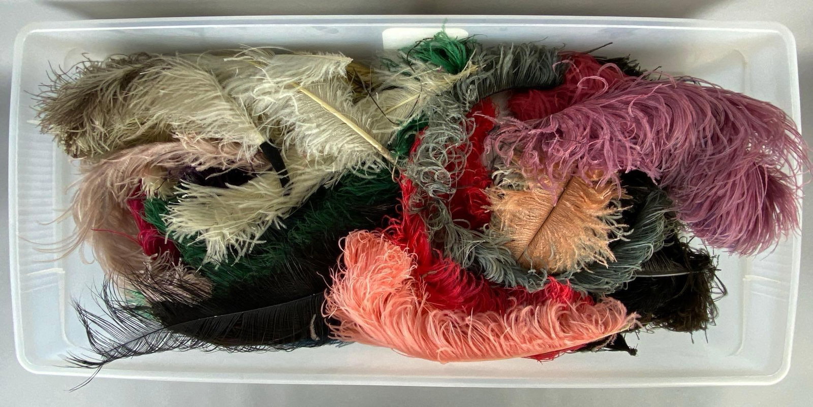 Group of Colorful Feathers: Includes pink, green, white, black, and more, Longest measures 21 inches long.