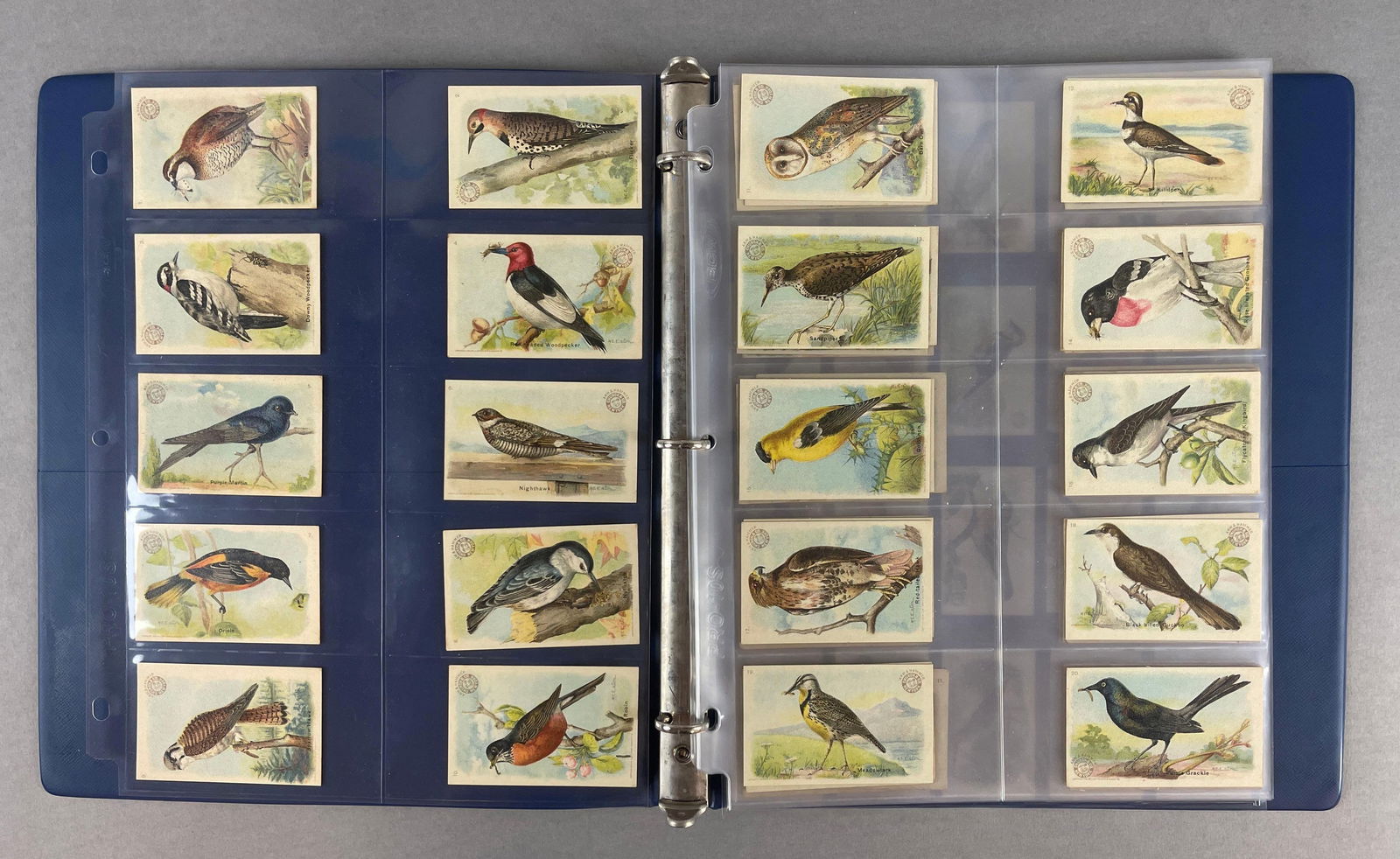 1936 Arm and Hammer Useful Birds of America Complete Set + 82 Other Bird Cards From 1898 - 1936 (1 of 4)