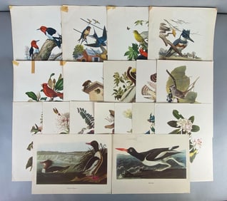 Group of Vintage Bird Art Prints