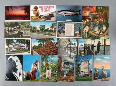 Postcards - 300+ Florida and More