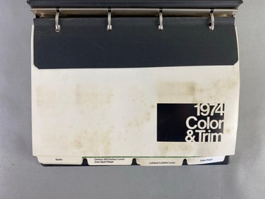 Buick 1974 Color and Trim Book