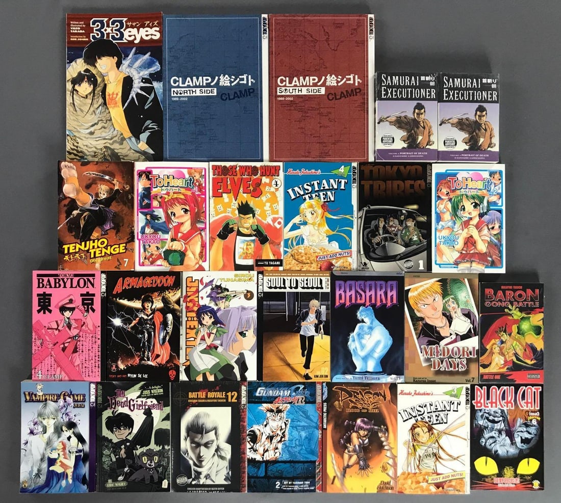 Group of 25 Manga Graphic Novels: Includes Samurai Executioner, Instant Teen, Black Cat, and more