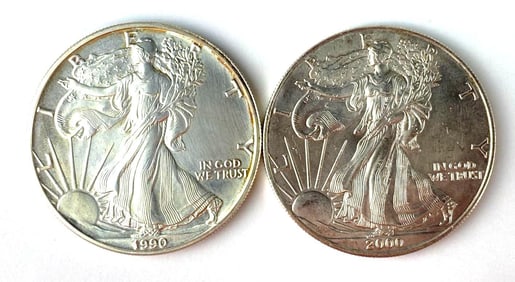 Group of 2 US Silver American Eagle 1oz Silver Dollar