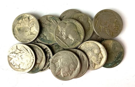 Group of 17 Buffalo Nickels