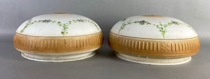 Group of 2 Satin Hand Painted Floral Lamp Shades