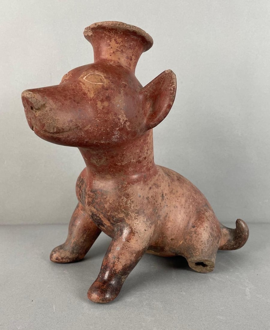 Pre-Columbian Colima Pottery Dog Vessel (1 of 7)