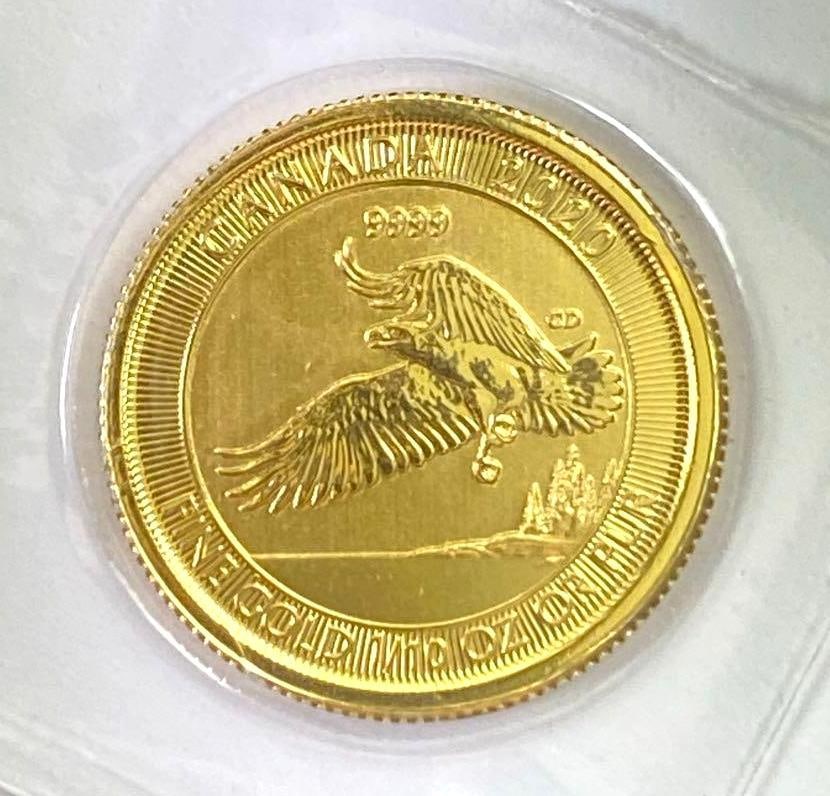 2020 $5 Canada Bald Eagle 1/10 oz .9999 Fine Gold (1 of 2)
