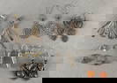 Group of Sterling Silver Earrings