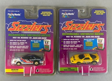 Group of 2 Playing Mantis Sizzlers Rechargeable Cars