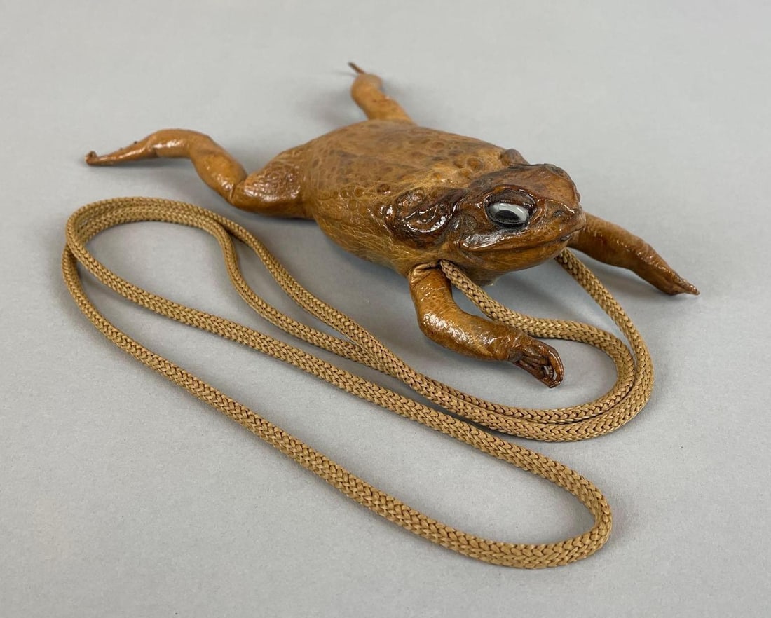 Vintage Cane Toad Taxidermy Purse: Measures 9 x 6 x 2 inches
