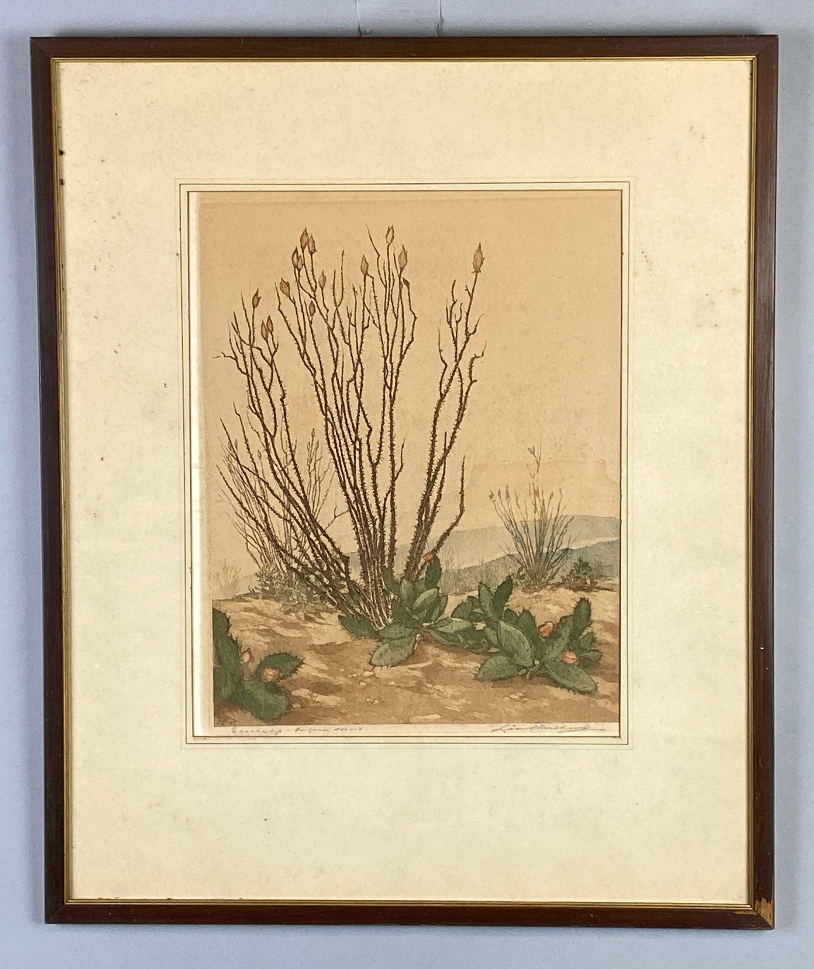 Artist Signed Arizona Desert Botanical Engraving on Paper (1 of 4)