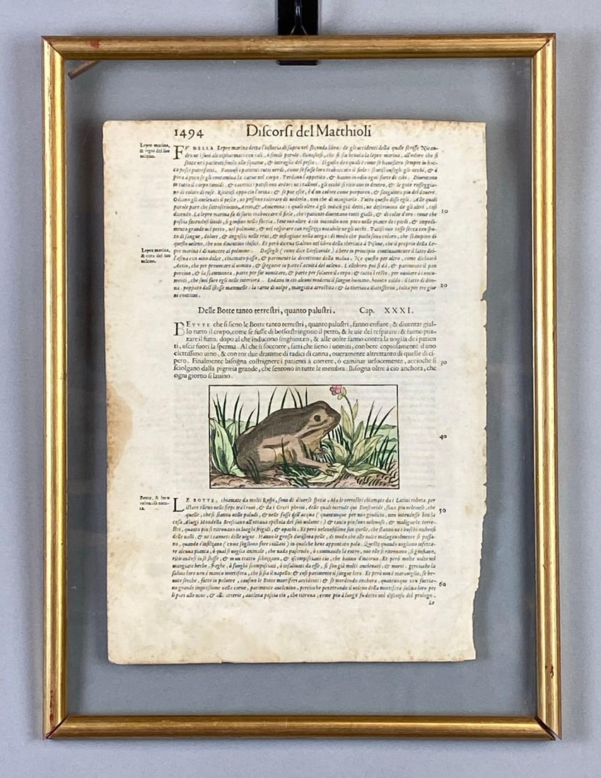 Pietro Andrea Mattioli Discorsi del Matthioli Book Page: In original Italian, Antique medicinal book page on the effects of poisonous frogs and toads, Bottom edge of frame not attached, Frame measures 17 1/2 x 13 inches, Page measures 13 1/2 x 9 1/2 inches.