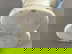 item-205505699=3
