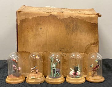 Group of 20+ Glass Domed Chinese Animal Dioramas