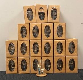Group of 20 Glass Domed Pelican Dioramas
