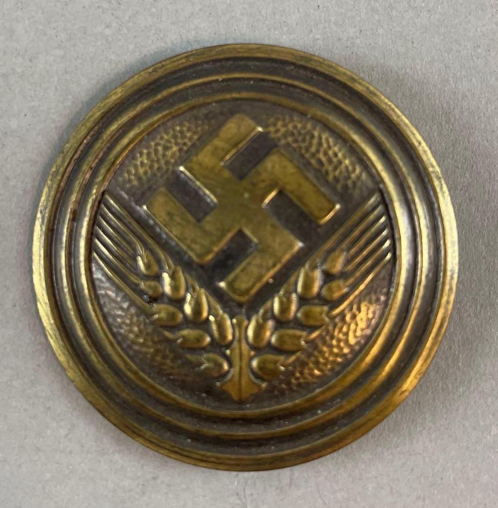 WW2 German Labour Service Badge (1 of 2)