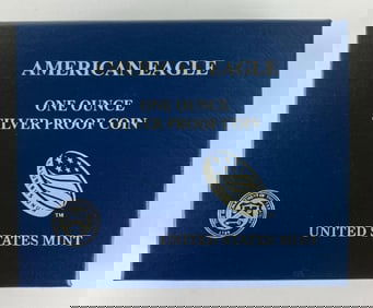 2013 US Mint $1 American Eagle 1 oz .999 Silver Proof Coin