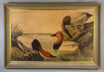 James Audubon Canvas Back Ducks Lithograph Print on Board