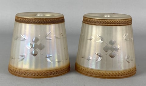 Group of 2 Antique Frosted Floral Cut Glass Ceiling Fixture Lamp Shades