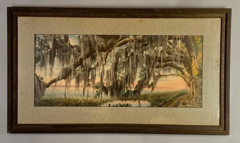 Tree Draped in Spanish Moss Colorized Lithograph